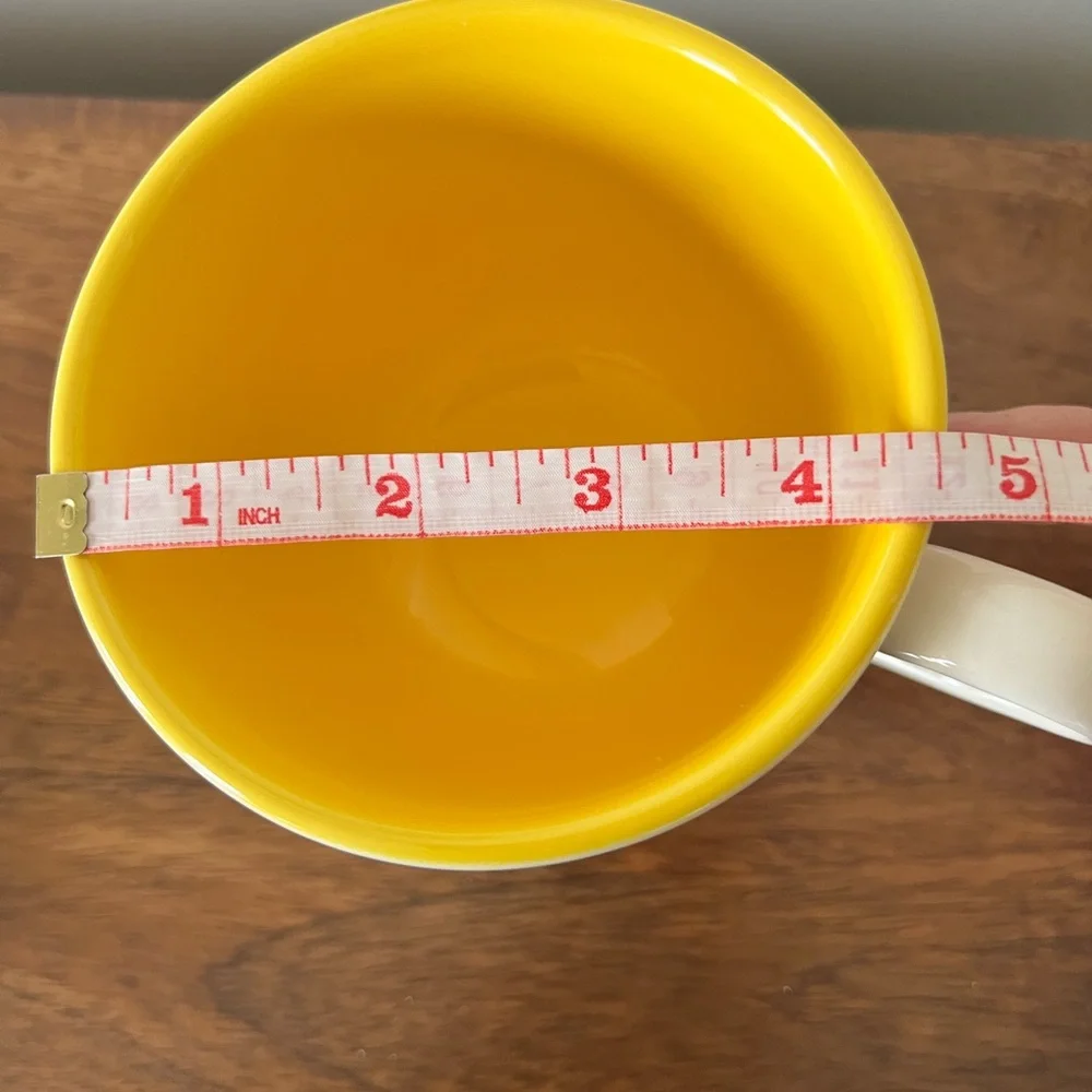Crate & Barrel Oversized Breakfast Mug and Saucer Set